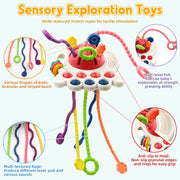 Baby Sensory Teething Toy Infant Montessori Chew Training Kids Pull String Activity Toy for Toddlers Push and Pull Toys